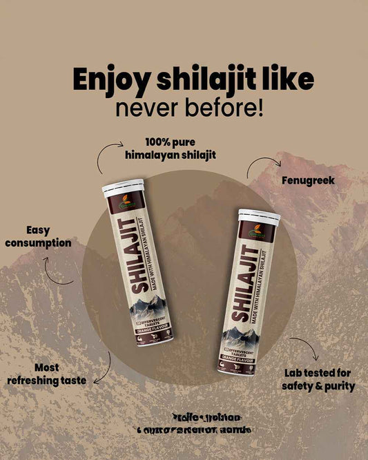 Ancient Elixir for Modern Wellness with Shilajit Tablets for Wellness - Grinbizz exim pvt ltd