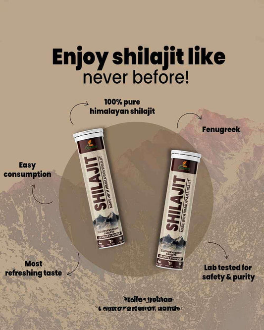 Ancient Elixir for Modern Wellness with Shilajit Tablets for Wellness - Grinbizz exim pvt ltd