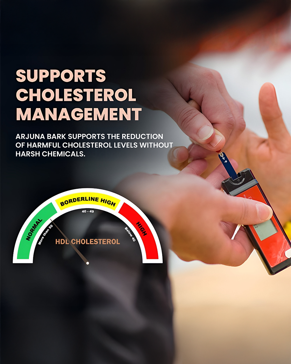 Arjuna Capsule- Promote heart health and support blood pressure