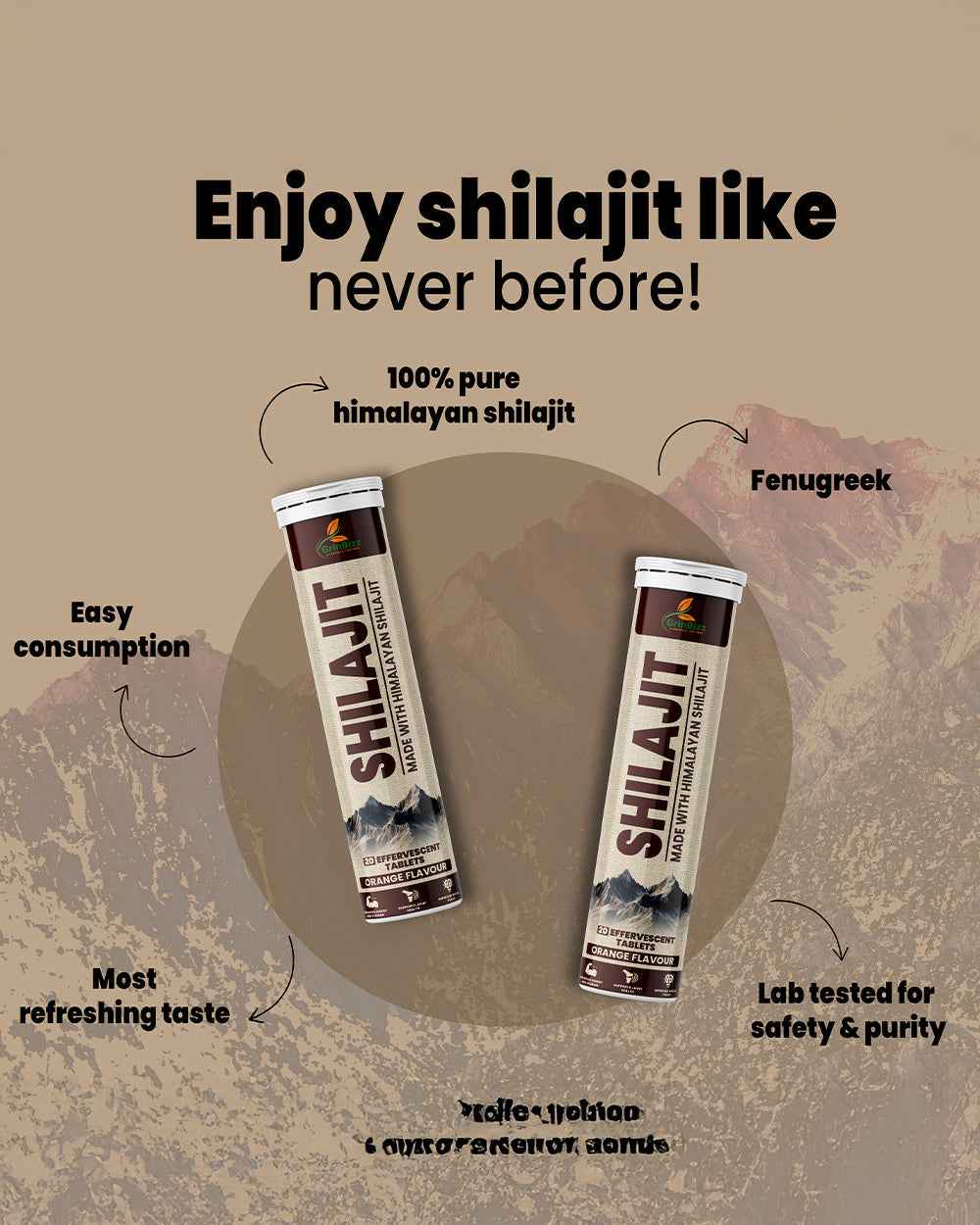 Ancient Elixir for Modern Wellness with Shilajit Tablets for Wellness - Grinbizz exim pvt ltd