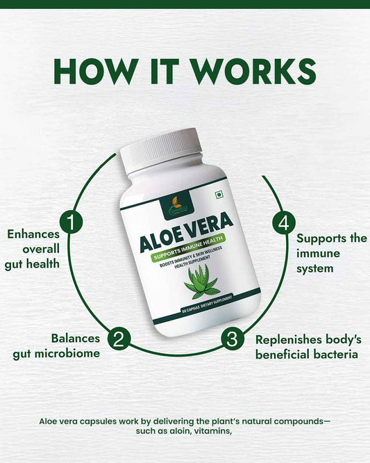 Aloe Vera Capsules for Wellness: Nature's Soothing Secret to Unlocking Health - Grinbizz exim pvt ltd