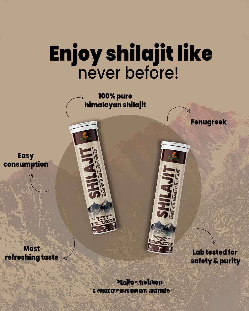 Ancient Elixir for Modern Wellness with Shilajit Tablets for Wellness - Grinbizz exim pvt ltd