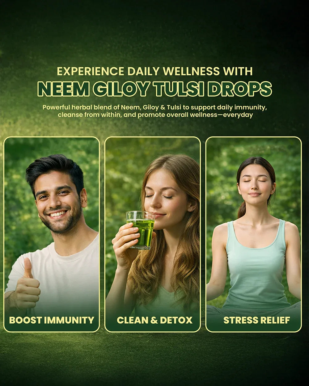 Neem Tulsi Giloy Drops for Immunity & Detox Support - Grinbizz exim pvt ltd