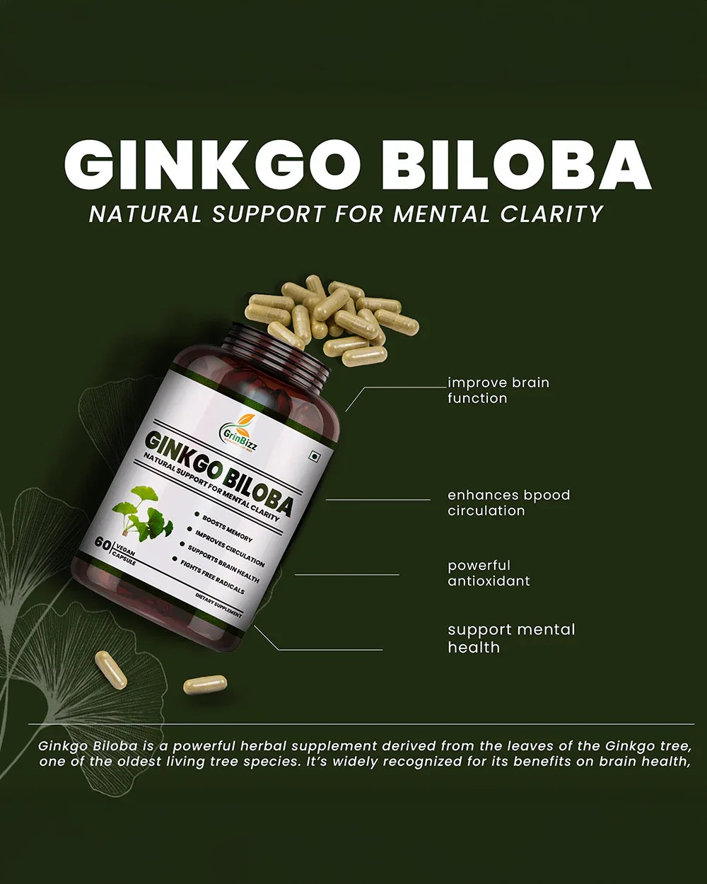Ginkgo Biloba Capsules - For Brain Health & Memory Support - Grinbizz exim pvt ltd