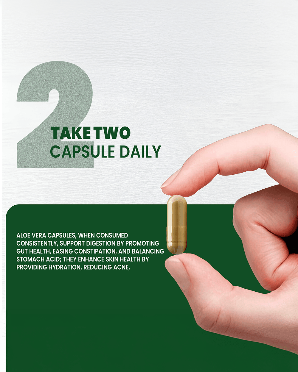 Aloe Vera Capsules for Digestive Health and Skin Support with Vitamin E - Grinbizz exim pvt ltd