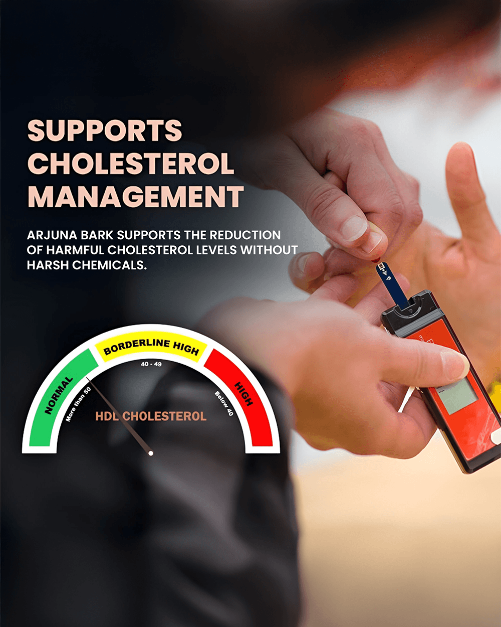 Arjuna Capsules for Heart Health - Promote Heart Wellness & Support Blood Pressure - Grinbizz exim pvt ltd
