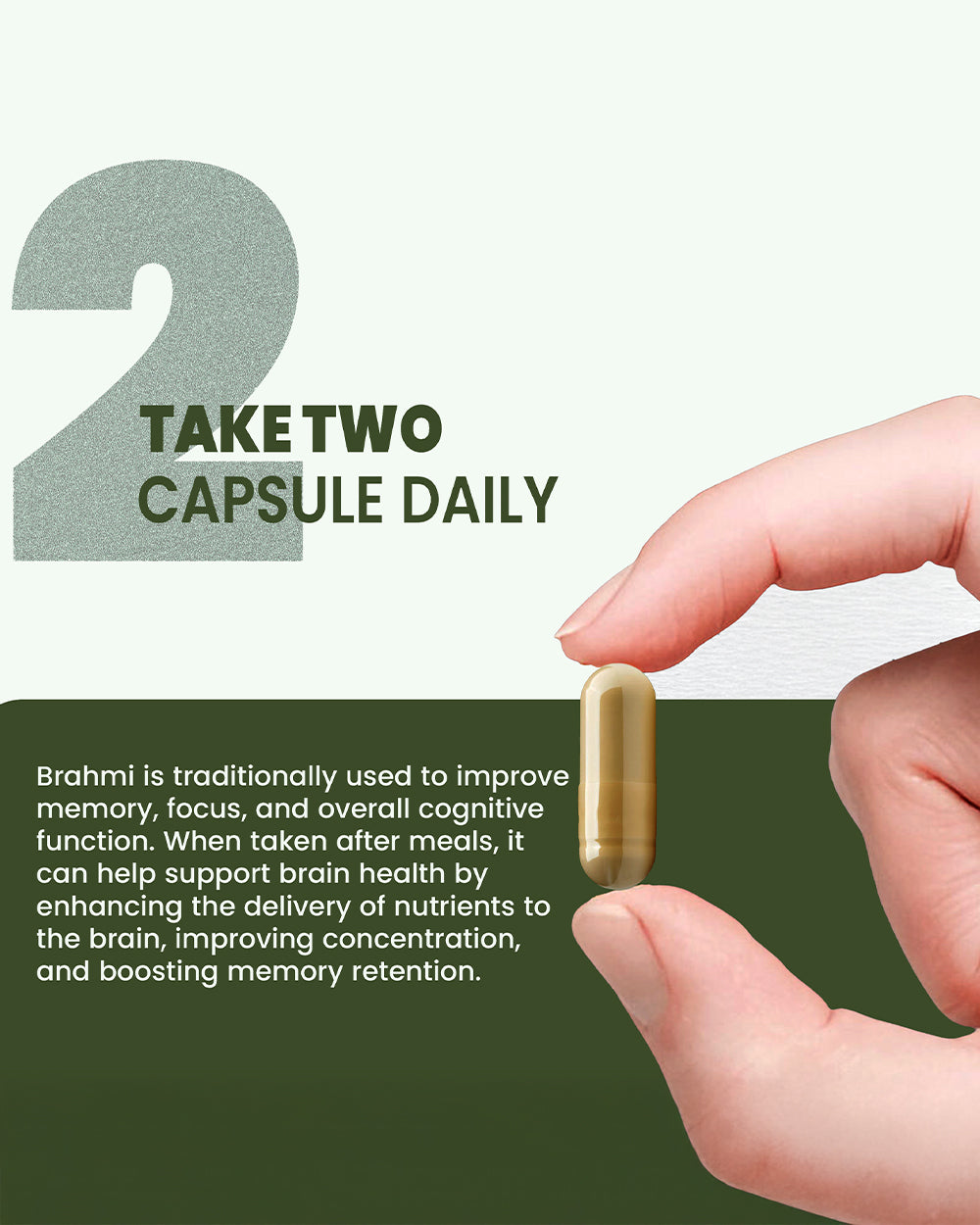 Brahmi Capsules- Boost Memory, Mental Clarity Pack of 120 Capsules