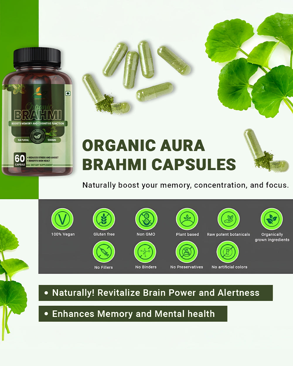 Brahmi Capsules- Boost Memory, Mental Clarity Pack of 120 Capsules