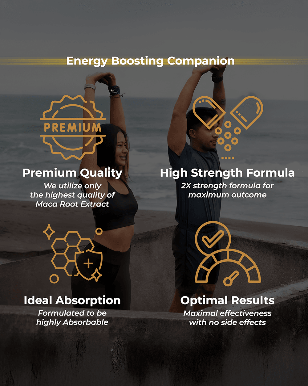 Korean Ginseng Capsules- Natural Energy, Immunity & Vitality Support - Grinbizz exim pvt ltd