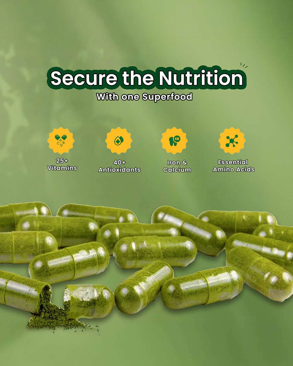 Moringa Capsules for Enhanced Wellness and Vitality with Moringa Powder - Grinbizz exim pvt ltd