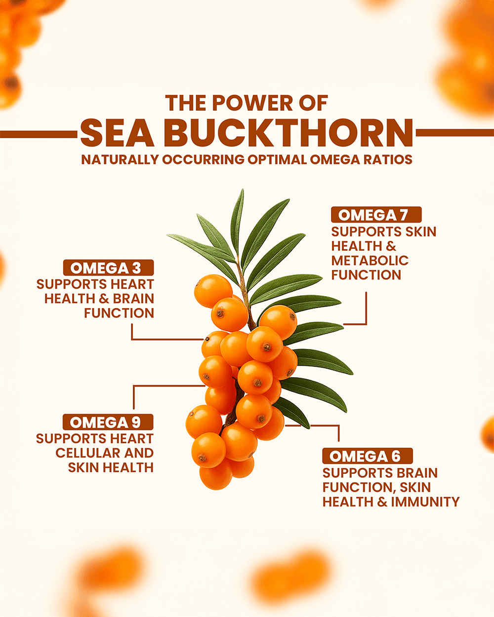 Seabuckthorn Capsules for Skin Support - Antioxidant Rich Nourishment - Grinbizz exim pvt ltd