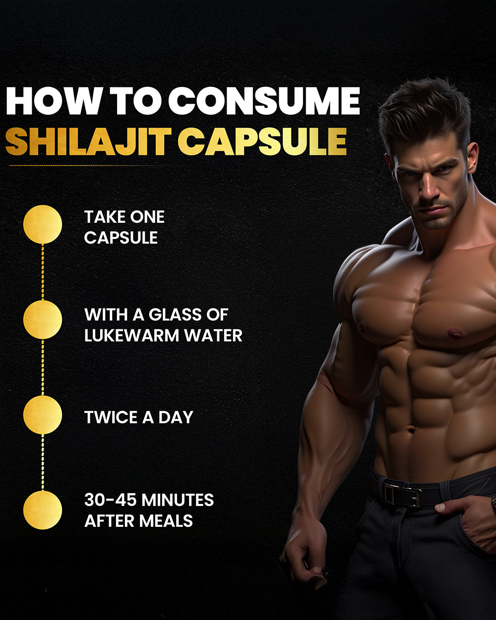 Shilajit Capsules Strength & Detox Support Pack of 120 Capsules