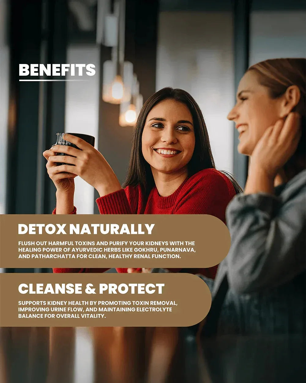 Kidney Health Supplements for Optimal Wellness and Vitality - Grinbizz exim pvt ltd