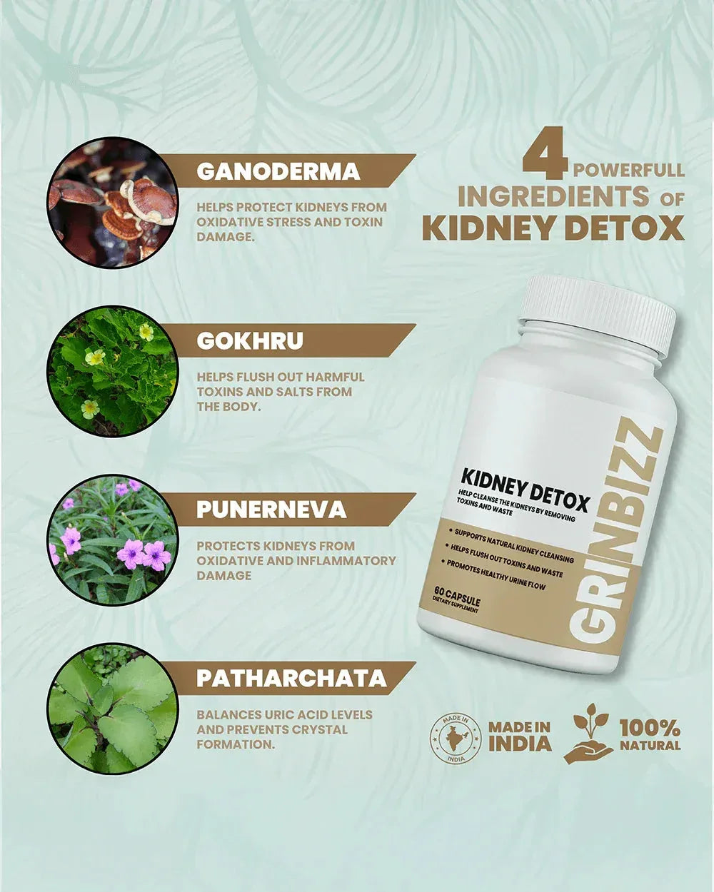 Kidney Health Supplements for Optimal Wellness and Vitality - Grinbizz exim pvt ltd