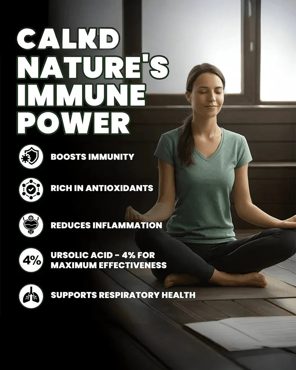 Tulsi Leaves - Premium Organic Holy Basil for Optimal Health and Wellness - Grinbizz exim pvt ltd